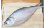 পদ্মার ইলিশ ৪০০–৫০০ গ্রাম - Image 2