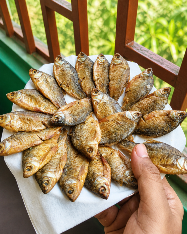Premium বড় সাইজ পুঁটির চ্যাপা