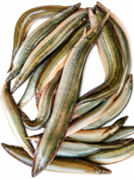 তারা বাইম কিং সাইজ ১৪–১৬ পিসে কেজি