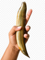 তারা বাইম কিং সাইজ ১৪–১৬ পিসে কেজি - Image 2