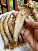 বাঁশপাতা/ফ্যাঁইসা মাছের চ্যাপা - Image 2
