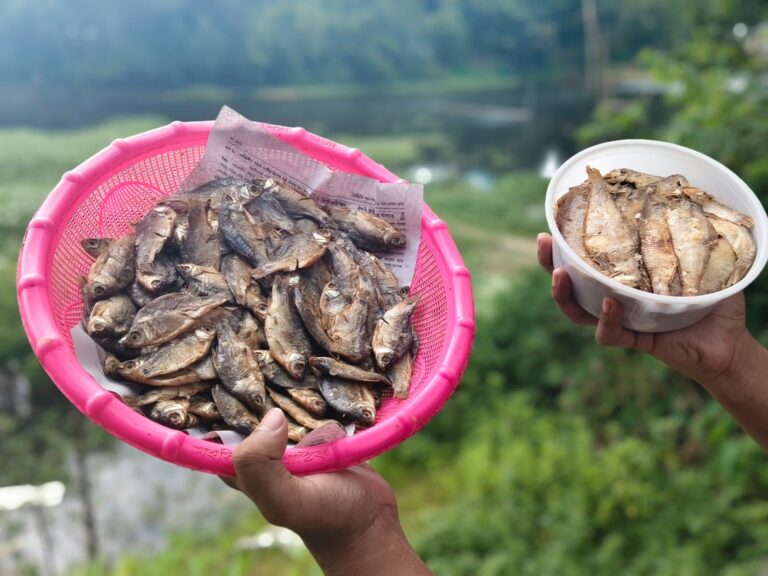 Premium কম্বো–১ (মিক্সড সাইজ) - হাওর বাজার